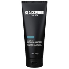 Blackwood For Men 블랙우드포맨 하이드로 블라스트 모이스처라이징 컨디셔너 229ml, 1개, 1ml