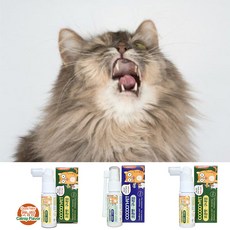 고양이구내염치료제