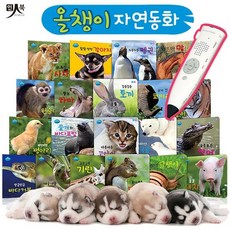 올챙이자연동화