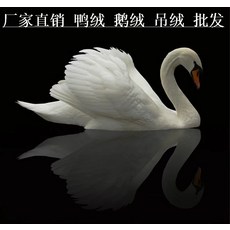 95b0835422c6123a8a302d665ce594f53a2829f6c7f2dda17e30fffe7d1a.png