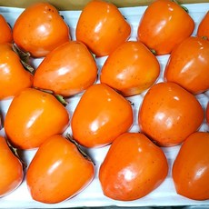 (용이다팜) 국내산 대봉감 10kg, 대봉감 10kg 31-40과, 1개
