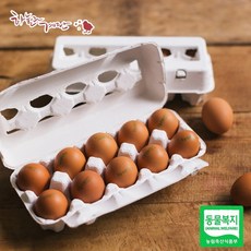 하늘과계란 동물복지인증 유정란 20알, 1개