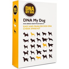 dna테스트