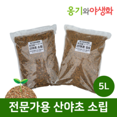 옹기와야생화 전문가용 산야초 소립 5L 가루제거 깨끗한 소포장, 1개