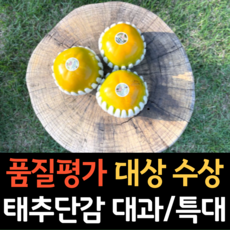 태추감