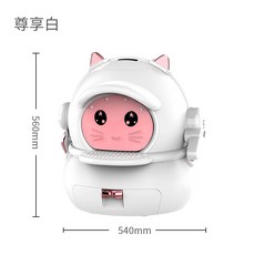 라비봇2렌탈