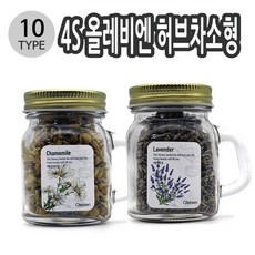 맘스네이처12종