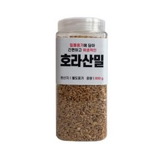 대한농산 통에담은 호라산밀, 800g, 1개