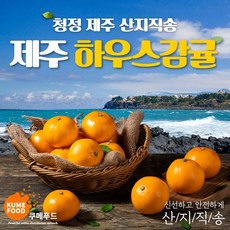 [재구매율 98% ] 쿠메푸드 제주도 산지직송 당도선별 하우스귤 선물세트, 3kg