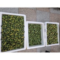 솔방울(냉동), 1개, 1kg