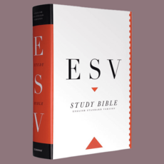 ESV 스터디 바이블 남성 영어 원서 하드커버