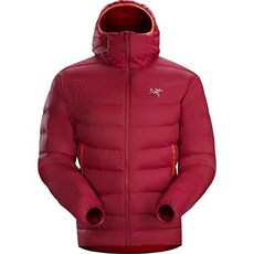 [아크테릭스] Arc'teryx Arcteryx 토륨 AR 후디 남성용 Everglade