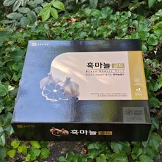 종근당건강 흑마늘즙 80미리 60개, 60포, 80ml