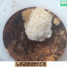 무농약 노루궁뎅이 버섯 키우기 재배 종균 배지 키트, 6개, 1개