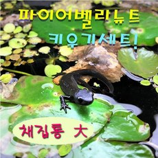2b15786d9c6b3d99f72d8d6d89ba3b032bb12a667b18e33836e86dd2a029.jpeg