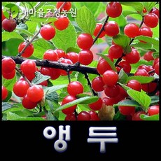 be17dd0fcaa9ccdba5f42b5c818a29305d9ffd900caaef66815a99117c3b.jpg