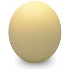 43ddbfc9bf032e295c1329f81dd0b37f3dd3d99d59afbb15bdec97bb4c6e.jpg