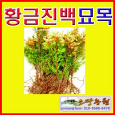 d3bd535039c2c70228b3846203423487ff17440cd559bcec9c3e3b65b543.png