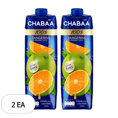 차바 감귤주스, 2개, 1L