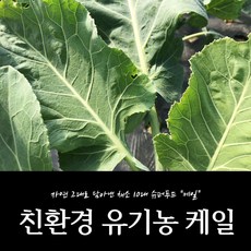 4e1aaf0b308b4b179df585a31ad2a3beec71d55c97ef10cf445cbf7c3534.jpg