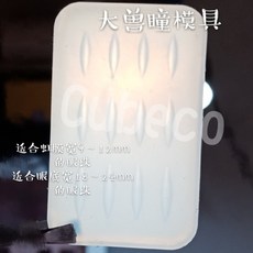 썸텍홍채렌즈