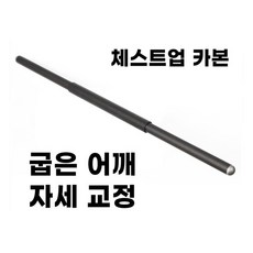 척추측만증운동교재