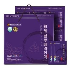 인씨네블루베리즙