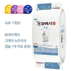 애견간식원데이클래스
