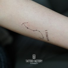 멜로타투스티커