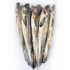 늘푸른 먹태 7통 (10마리), 상세페이지 참조, 7개, 상세페이지 참조