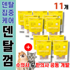 던킨먼치킨