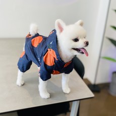 [ 쭈니네 ] 올인원 과즙 팡!팡! 오렌지 우비 [2 color] [강아지 우비] [반려견 우비] [고양이 우비] [반려묘 우비] [핸드메이드], Navy biue, 1개