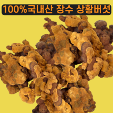 상황버섯 차 진액 국내산 100% 프리미엄 장수상황버섯 절편 당뇨에좋은, 250g, 2개