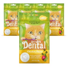 캣템 스피루리나 덴탈 고양이 간식, 치킨, 60g, 5개 치킨, 5개