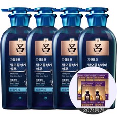 려 자양윤모 탈모증상케어 샴푸 비듬두피 + 샴푸파우치(지성) 증정 -구매수량별 5매씩 추가, 4세트, 400ml