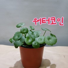 f01e3ef3e07dac2f5ea428a89c06f9f2478f66abfd3b803bcf7d1e003a4c.jpg