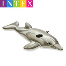 뉴돌고래라이드온