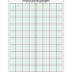 체형교정롤스크린