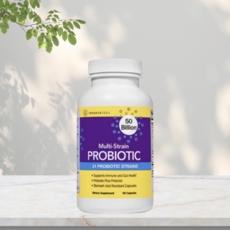 이노빅스랩스 멀티 스트레인 프로바이오틱스 500억 유산균 60캡슐, 1개, 60정