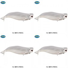 벨루가