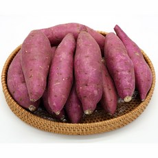 공영쇼핑밤호박