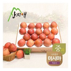 [산지애] 알뜰 못난이사과(중과) 4kg 1box, 상세 설명 참조