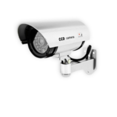 epsonv37ccd