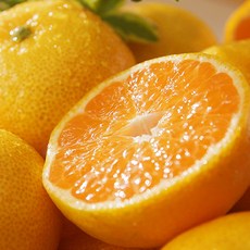 제주농협귤로장생