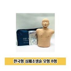 P26 한국형 심폐소생술모형 B형 교육용 실습 인형