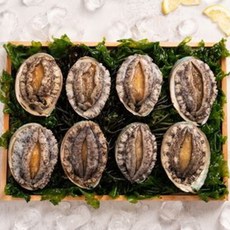 [기타] 산지직송 해남 전복 특대 1kg(8-9미)/선물포장, 1개