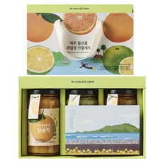 ORGA ORGA濟州Dolkorom果汁3p, 1個, 單品