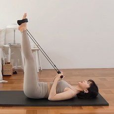 다이어트학교로잉밴드