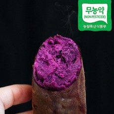 지리산고구마