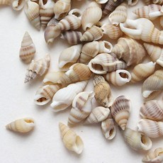 d9e5d07c3010815dc60857d5a675f02abaac714b53644063eef2a540e4b9.jpg